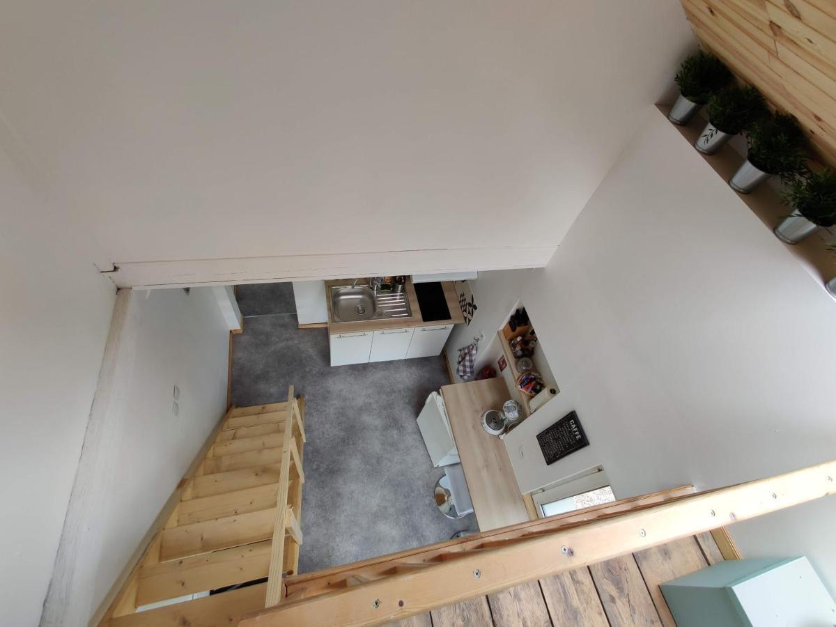 Studio Mezzanine Chez Papou, Ville Et Foret Strasbourg Bagian luar foto