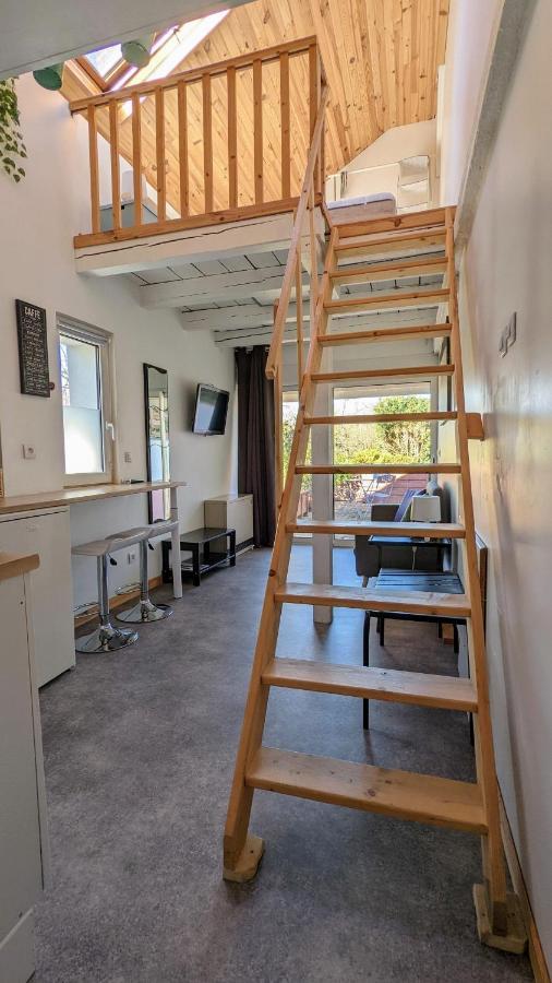 Studio Mezzanine Chez Papou, Ville Et Foret Strasbourg Bagian luar foto